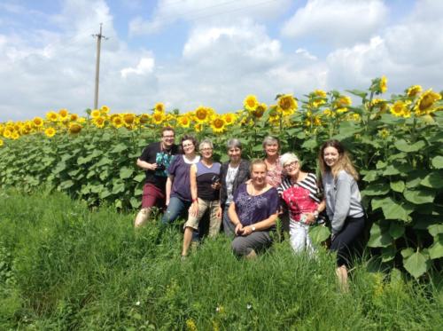 Pilgrims pose for a photo among a large field of sunflowers